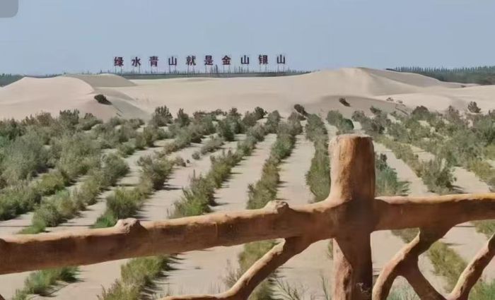 ഺɳGƌW(xu)cg(sh)W(xu)Ժl(xing)(sh)`F(tun)̽wᡰB(ti)f(xi)ͬl(f)չ֮· оɳGB(ti)\ B(ti)(sh)`F(tun)