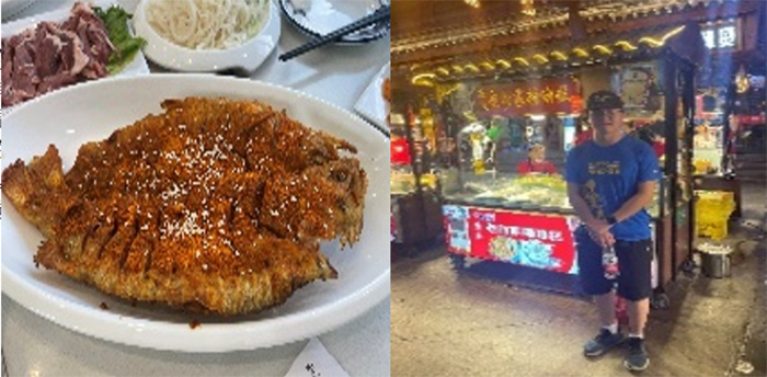 F(tun)桱Ξd